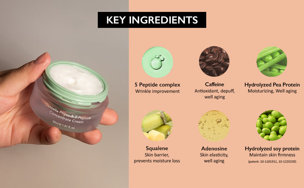 CENTELLA PHYTO & 5 PEPTIDE CONCENTRATE CREAM