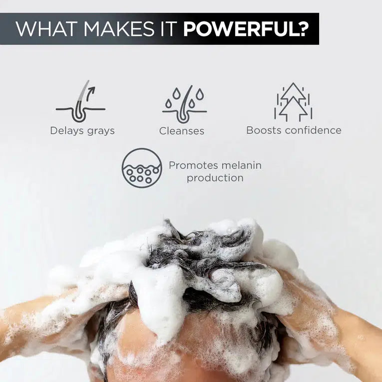 ANTI-GRAYING HAIR SHAMPOO + CONDITIONER