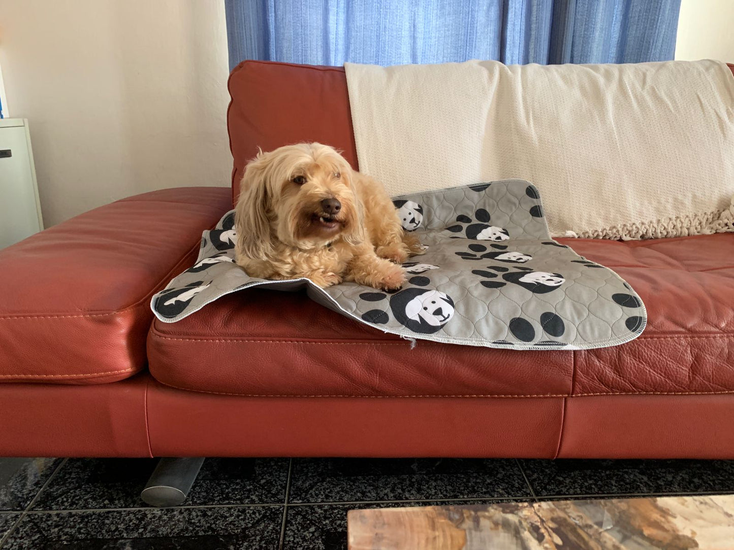 DOG PEE PAD WASHABLE 70 x 80