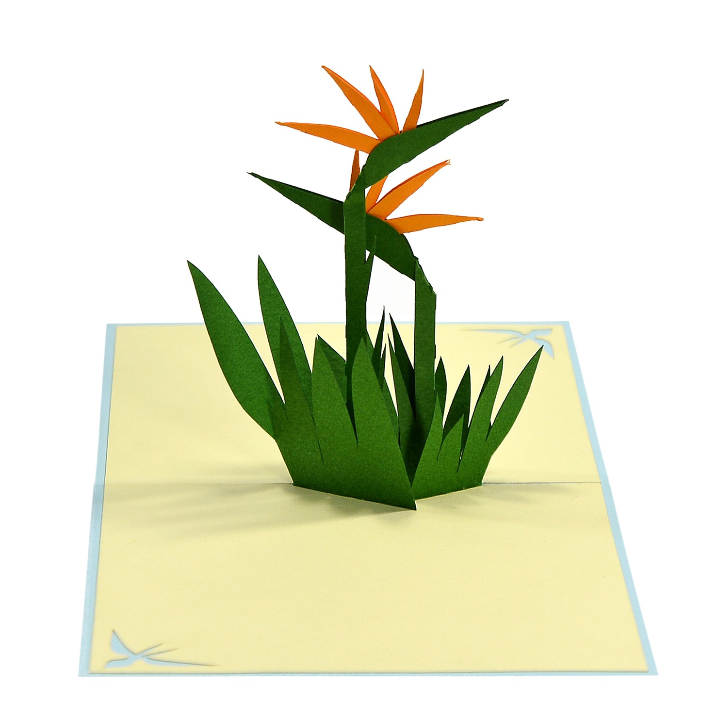 BIRD OF PARADISE FLOWER POPUP CARD (15X15CM)
