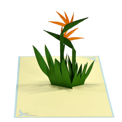 BIRD OF PARADISE FLOWER POPUP CARD (15X15CM)