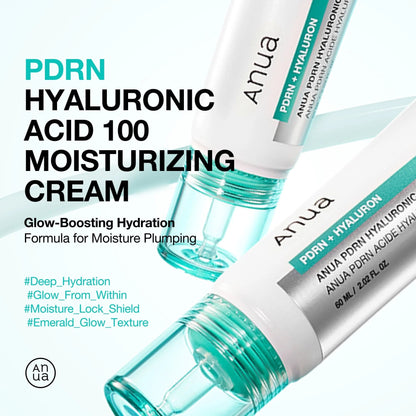 PDRN HYALURONIC ACID 100 MOISTURE CREAM 60ML