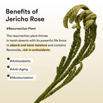 COLLAGEN EYE PATCH JERICHO ROSE JELLY (60EA)90G