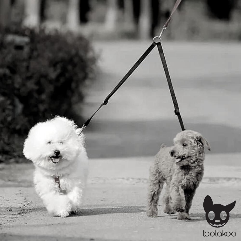 COUPLE DOG LEASH
