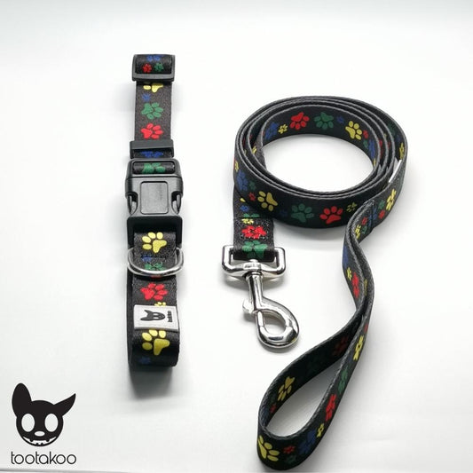 DOG COLLAR & LEASH SET Paws