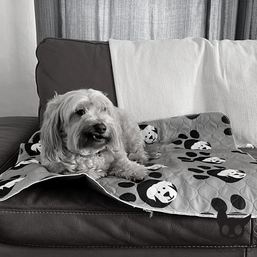 DOG PEE PAD WASHABLE 70 x 80