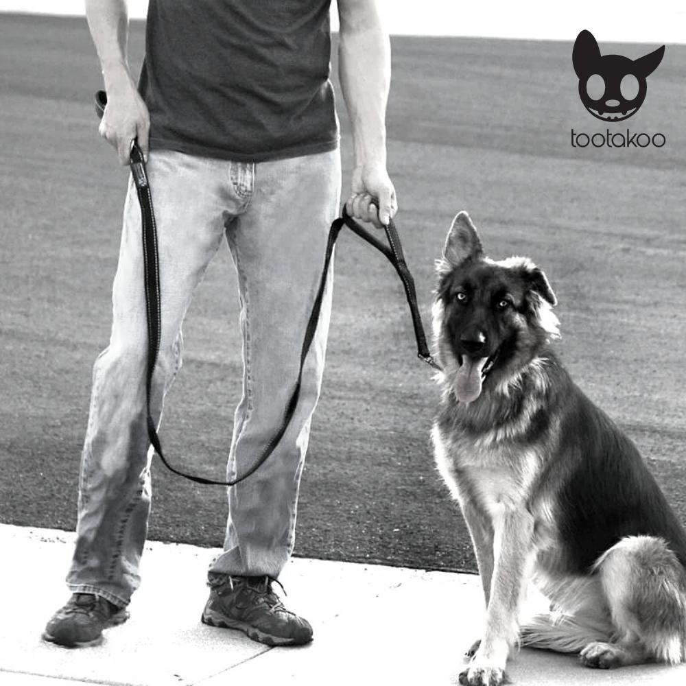 DOUBLE HANDLE DOG LEASH