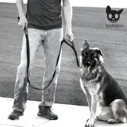 DOUBLE HANDLE DOG LEASH