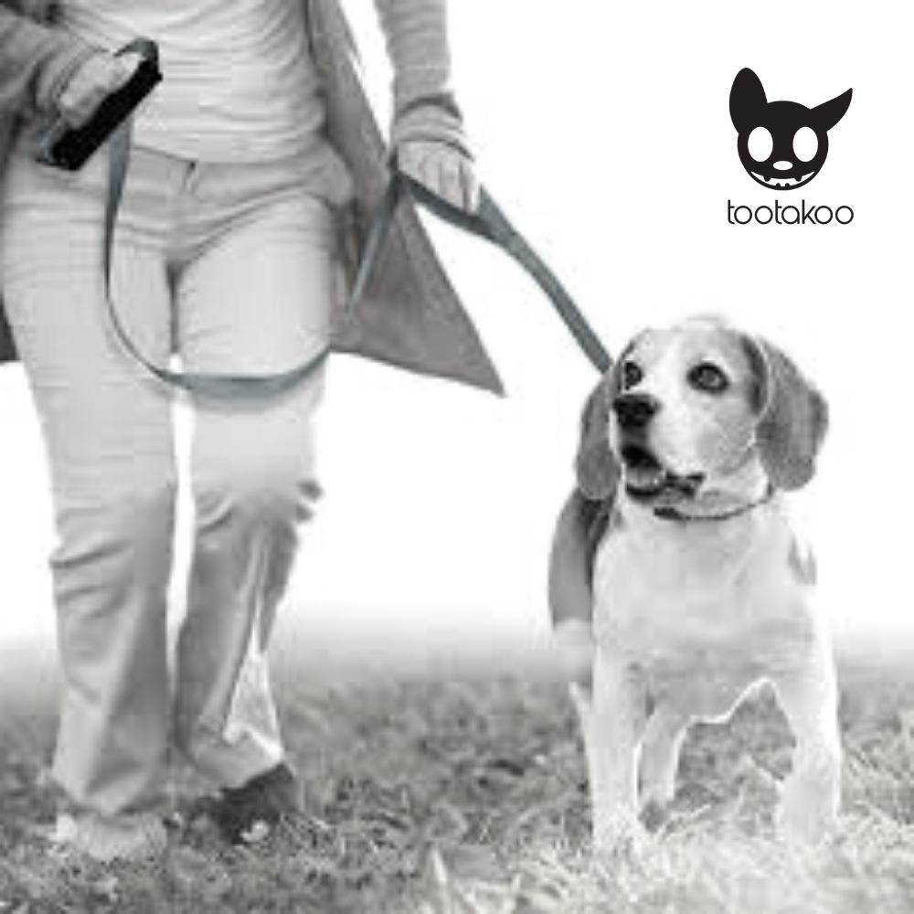 DOUBLE HANDLE DOG LEASH