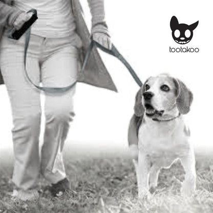 DOUBLE HANDLE DOG LEASH