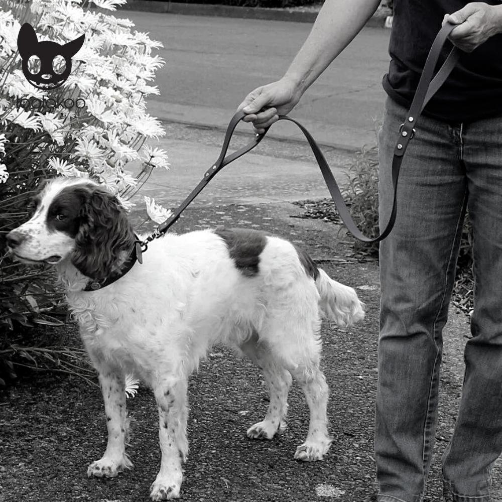 DOUBLE HANDLE DOG LEASH