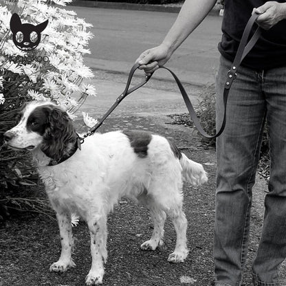 DOUBLE HANDLE DOG LEASH