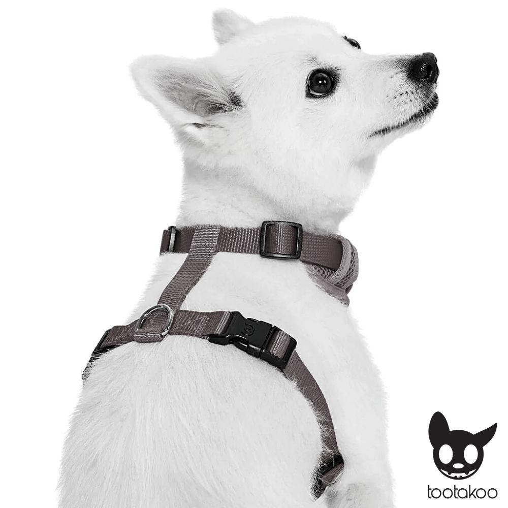 H DOG HARNESS Checkered