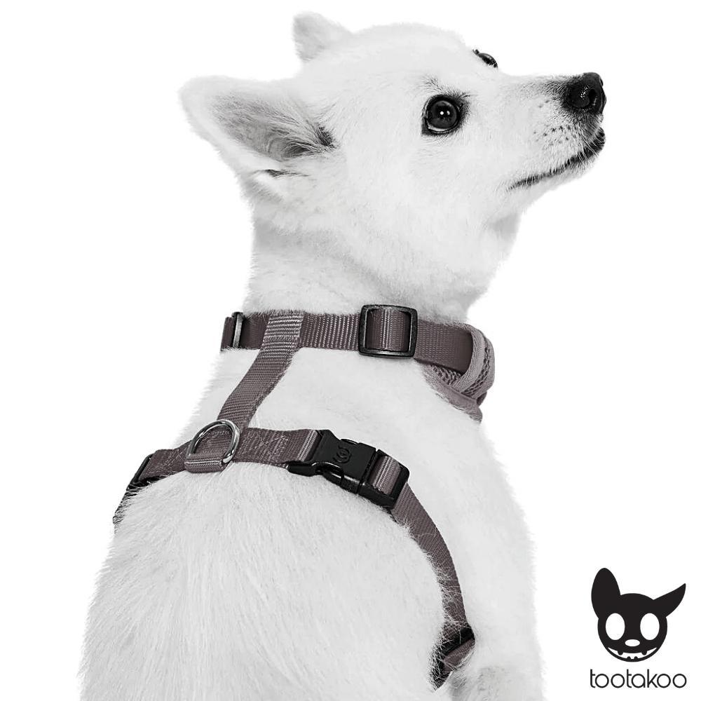 H DOG HARNESS Paws