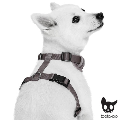 H DOG HARNESS Paws