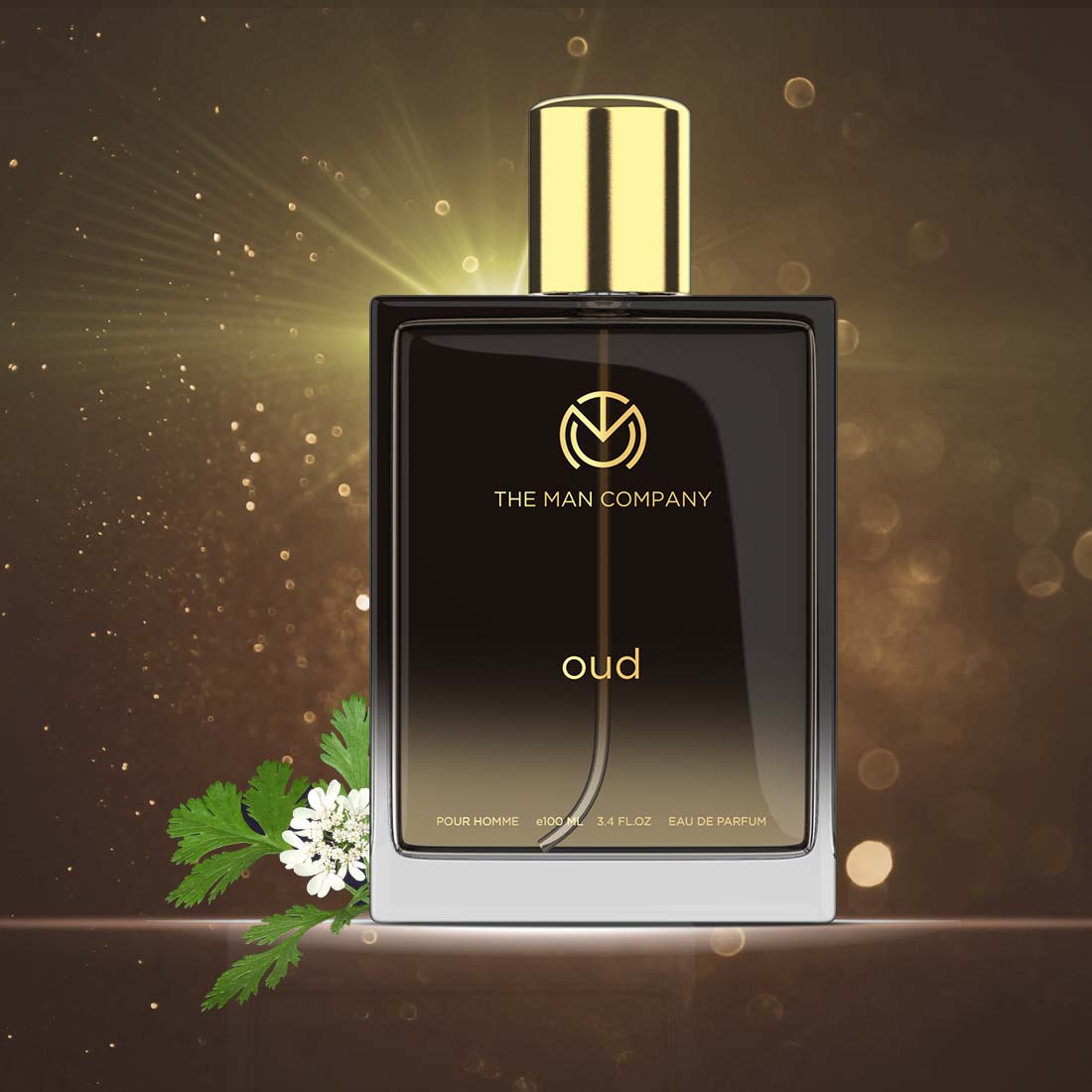 OUD EAU DE PARFUM 100ML